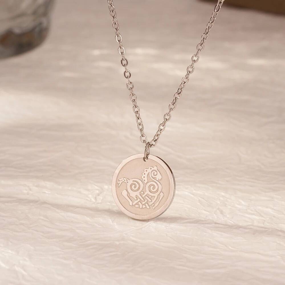 สร้อยคอจี้สแตนเลสสตีลลายม้าโทร - Coin Necklace Delicate บทวิจารณ์และราคา